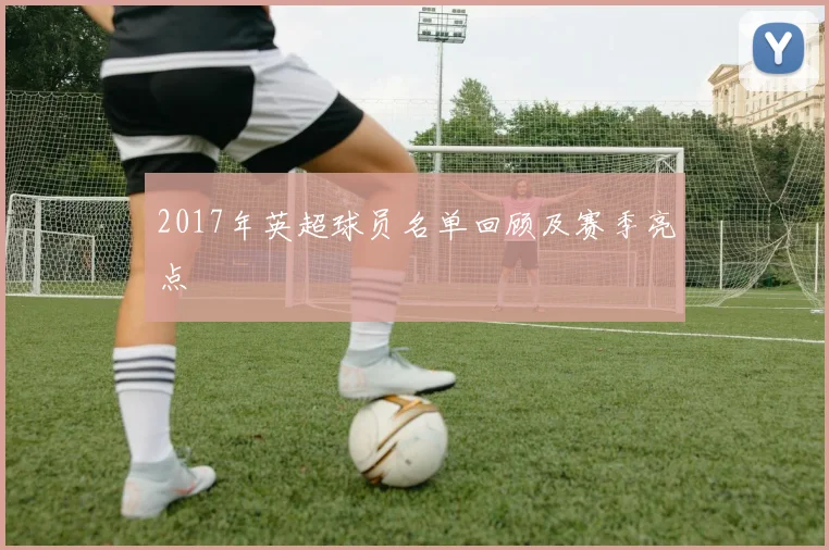 2017年英超球员名单回顾及赛季亮点